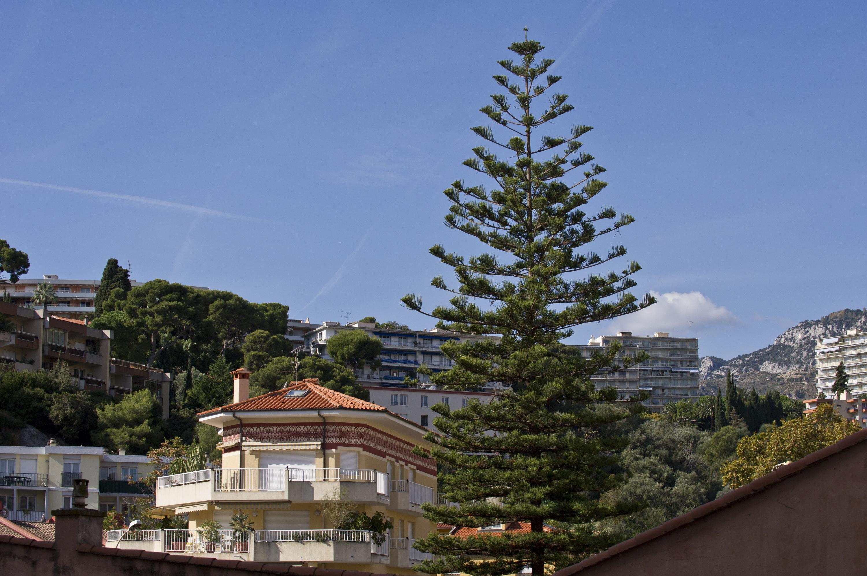 Hotel Victoria Roquebrune-Cap-Martin Extérieur photo